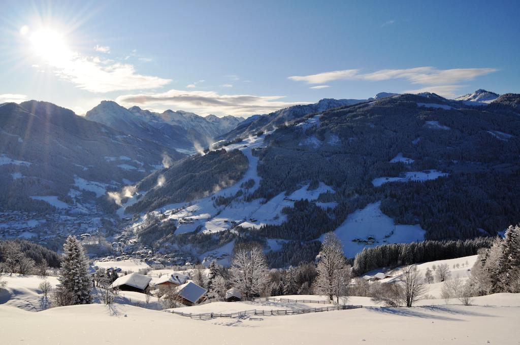Appartement Schattauer